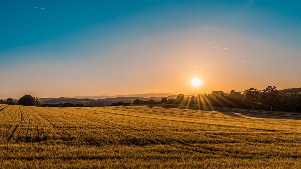 Farm fields and crops
